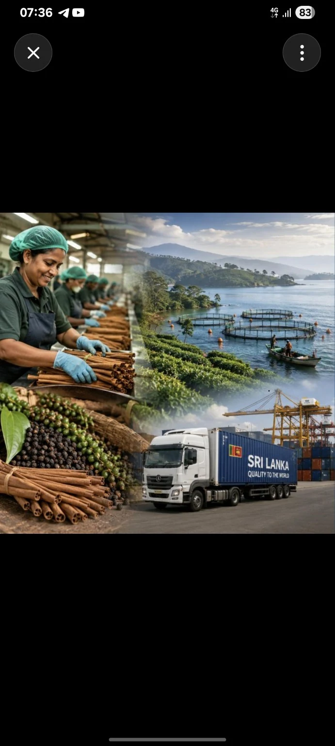 Sri Lankan sourcing and export logistics
