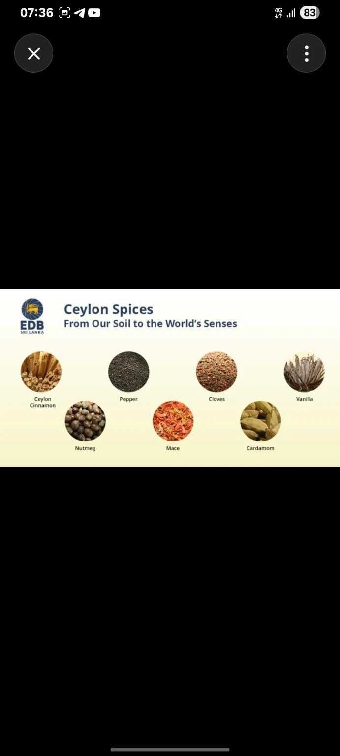 Ceylon spices selection